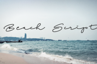 Beach Script: The Handwritten Font for Bold Marketing