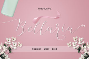 Bellaria Script: A Designer’s Review of This Elegant Typeface