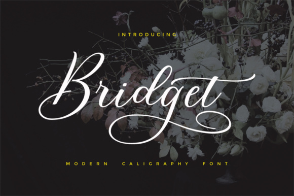 Bridget Script: A Modern Typeface for Brand Identity