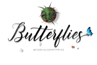 Butterflies Script: A Fresh Typeface for Modern Branding
