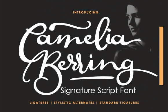 Camelia Berring Script: A Designer’s Honest Review