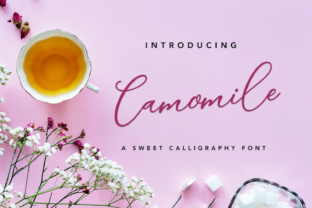Camomile Script: A Typeface That Elevates Brand Identity