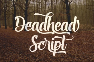 Deadhead Script: A Playful Typeface for Editorial Design