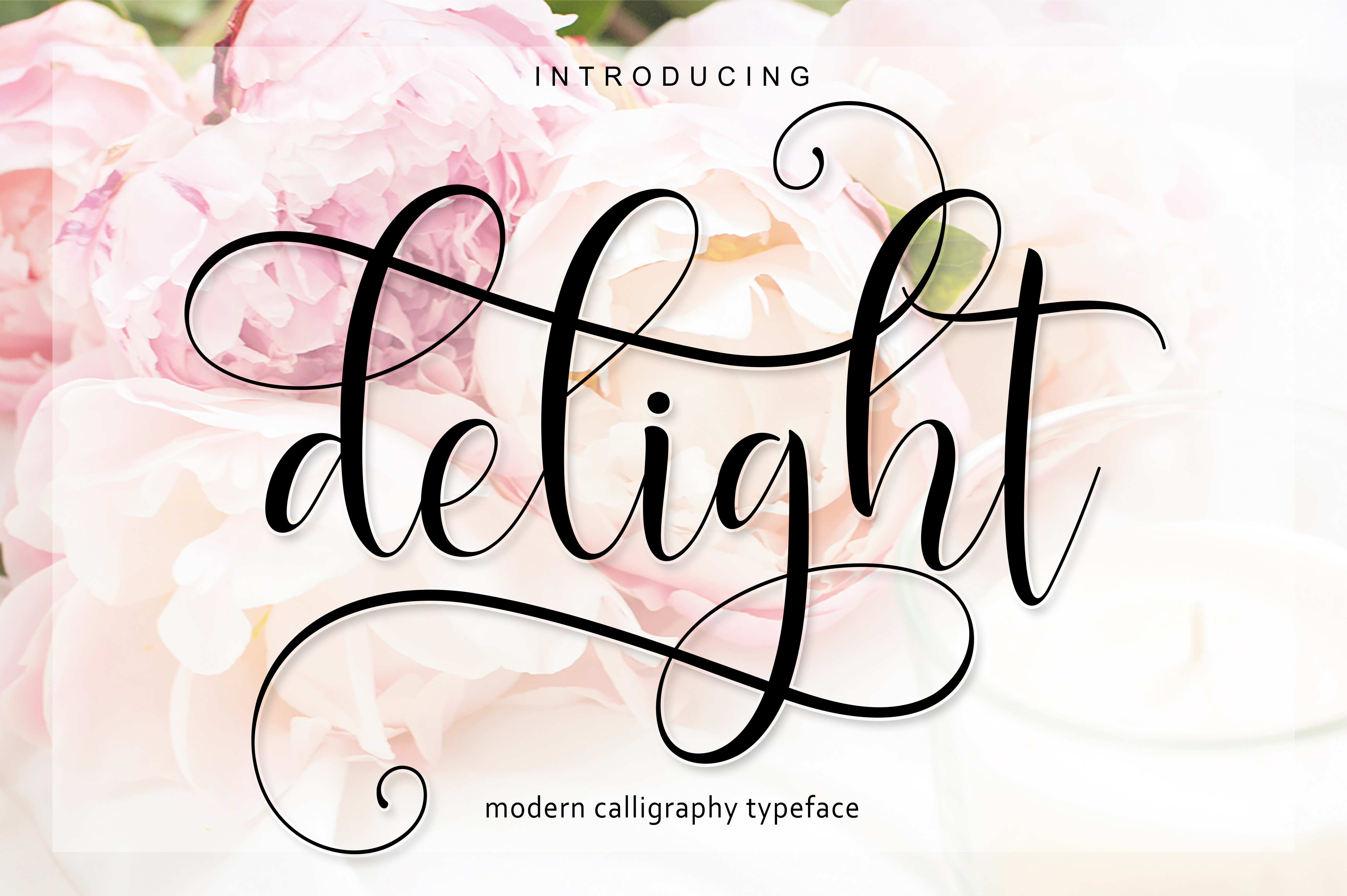 Delight Script: A Typeface for Clear Campaigns