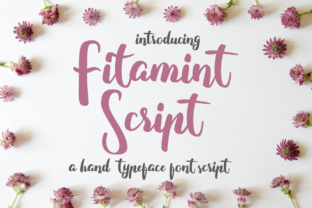 Fitamint Script: A Designer’s Honest Review