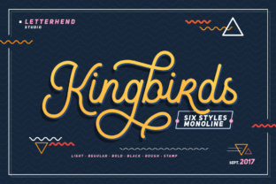 Kingbirds Script: A Premium Typeface for Brand Identity