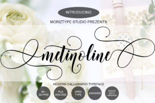 Metinoline Script: A Typeface for Handmade Charm