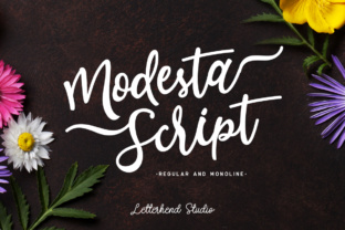 Modesta Script: A Feminine Typeface for Web Design
