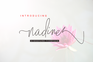 Nadine Script: A Designer’s Honest Review
