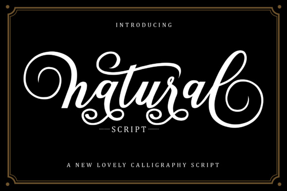 Natural Script: A Modern Typeface for Digital Elegance