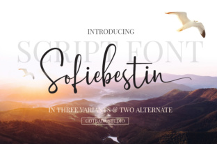 Sofiebestin Script: A Modern Handwritten Font for Campaigns